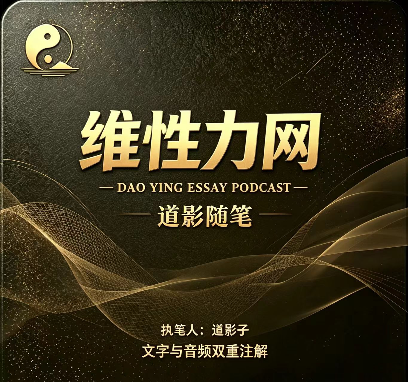 道影子国学《太极不是图画》国学实修解读配图